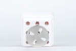 NAILSOFTHEDAY "PEDICURE DISK" 20mm