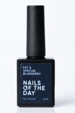 NAILSOFTHEDAY Let's special Blueberry