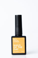 NAILSOFTHEDAY Let's special Pumpkin